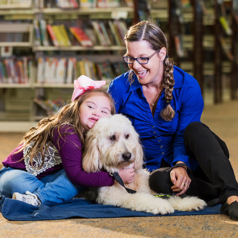 therapy dog training for schools