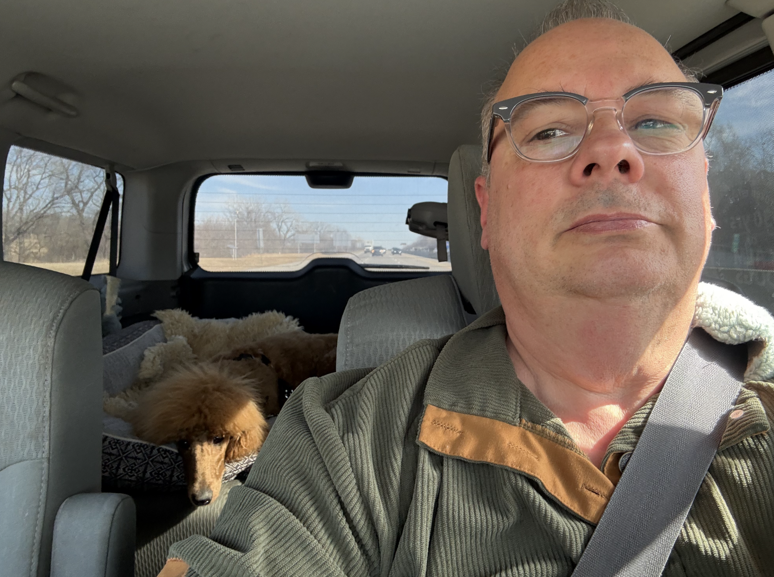 hybrid in-home dog training